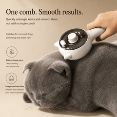 PETZY™ 3-in-1 Steam Grooming Brush for Cats